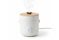apa itu rice cooker mini